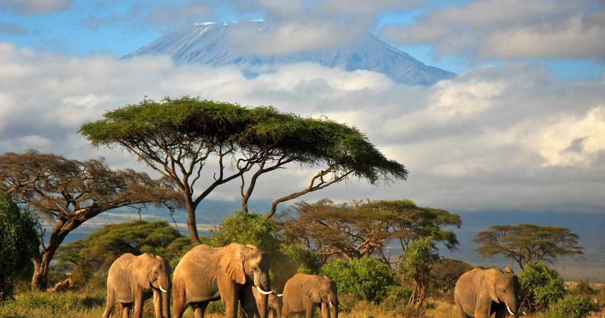 Природа Танзании