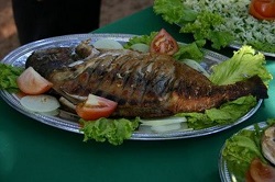 Суруби и Пуку  — жареная речная рыба