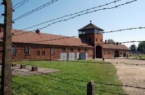 Музей Аушвиц-Биркенау в Освенциме, Польша