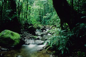 Долина Антона в Панаме