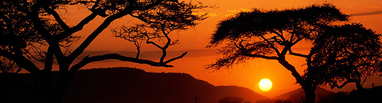 1380317468-serengeti-national-park-sunset-tanzania.jpg
