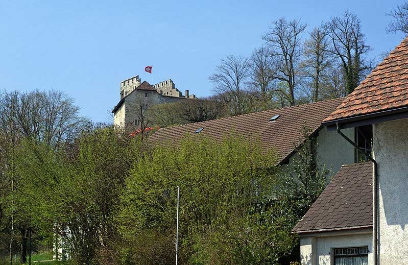 Замок Габсбург