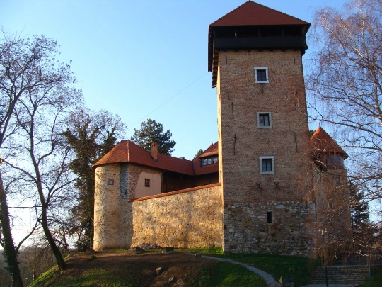 Замок Дубовац