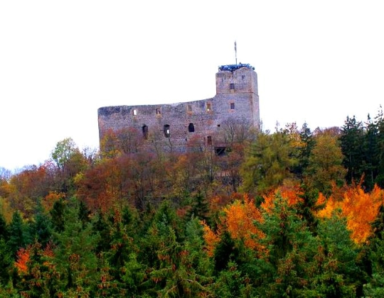 Замок Рядине